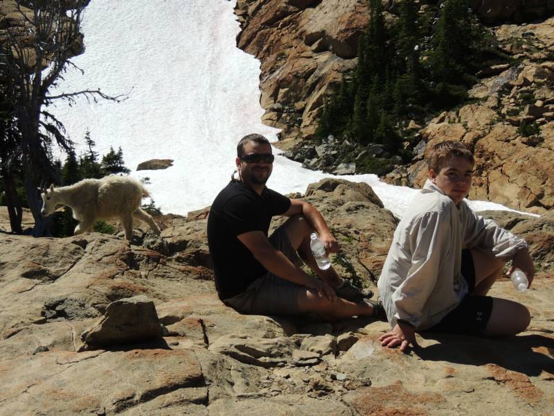 alpine pest management wenacheet